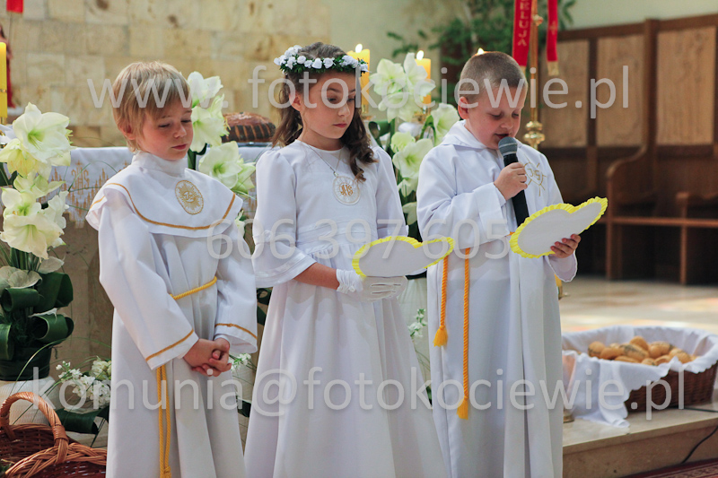 <b>NUMER FOTOGRAFII:<br> 1298_IMG_0006</b>