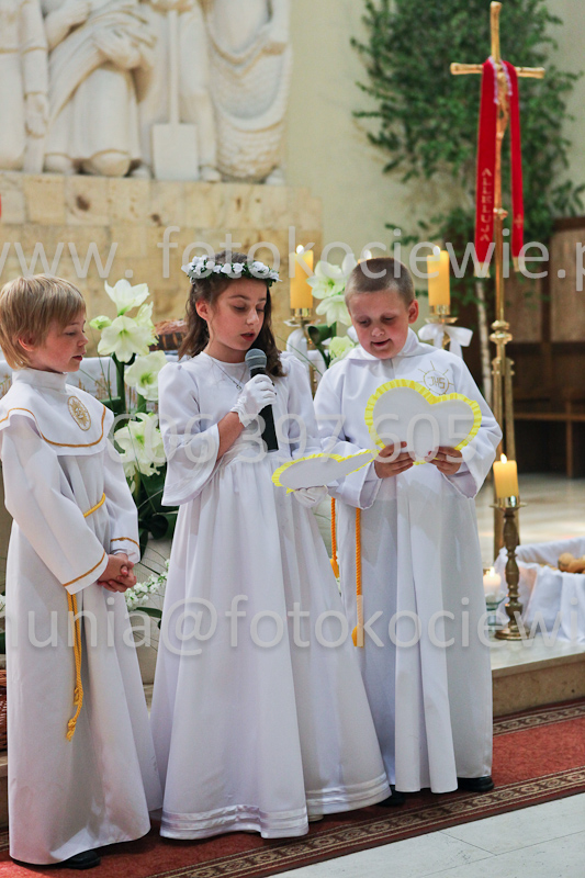 <b>NUMER FOTOGRAFII:<br> 1301_IMG_0009</b>