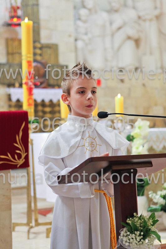 <b>NUMER FOTOGRAFII:<br> 0226_IMG_9685</b>