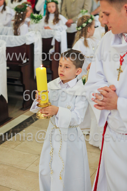 <b>NUMER FOTOGRAFII:<br> 0376_IMG_9725</b>