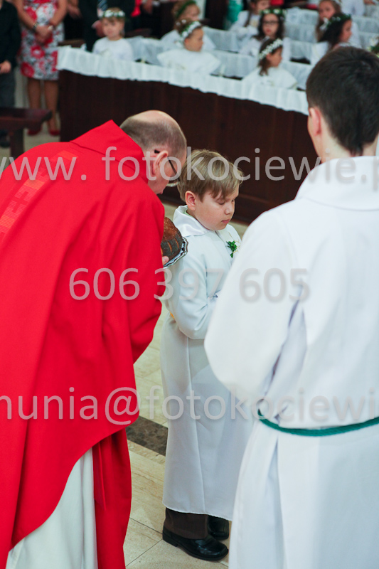<b>NUMER FOTOGRAFII:<br> 0398_IMG_9742</b>
