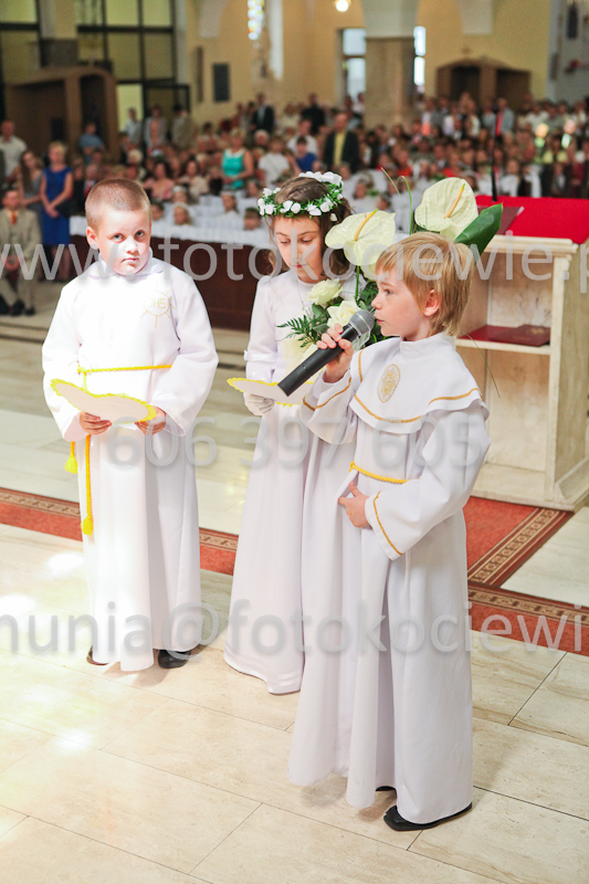 <b>NUMER FOTOGRAFII:<br> 1288_IMG_9995</b>