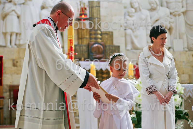 <b>NUMER FOTOGRAFII:<br> 1445_SFK_0066</b>
