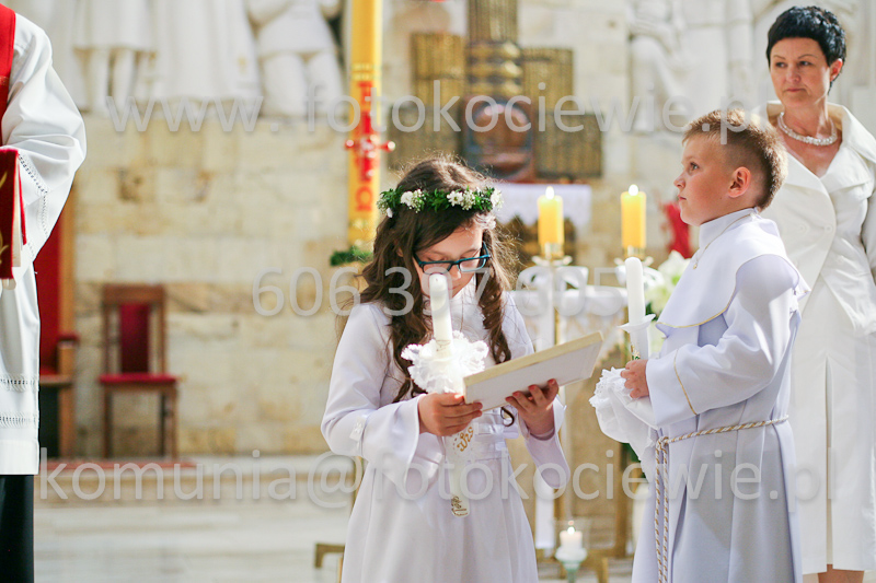 <b>NUMER FOTOGRAFII:<br> 1459_SFK_0084</b>