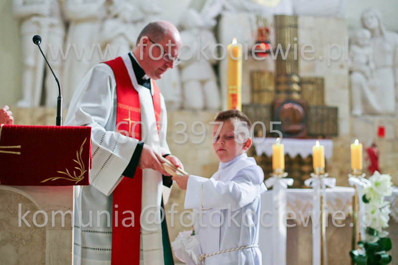 <b>NUMER FOTOGRAFII:<br> 1470_SFK_0097</b>