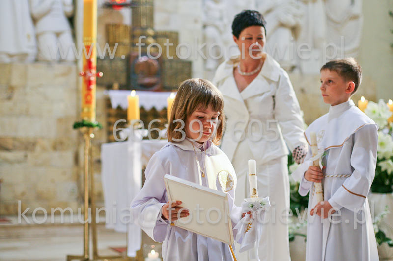 <b>NUMER FOTOGRAFII:<br> 1482_SFK_0109</b>