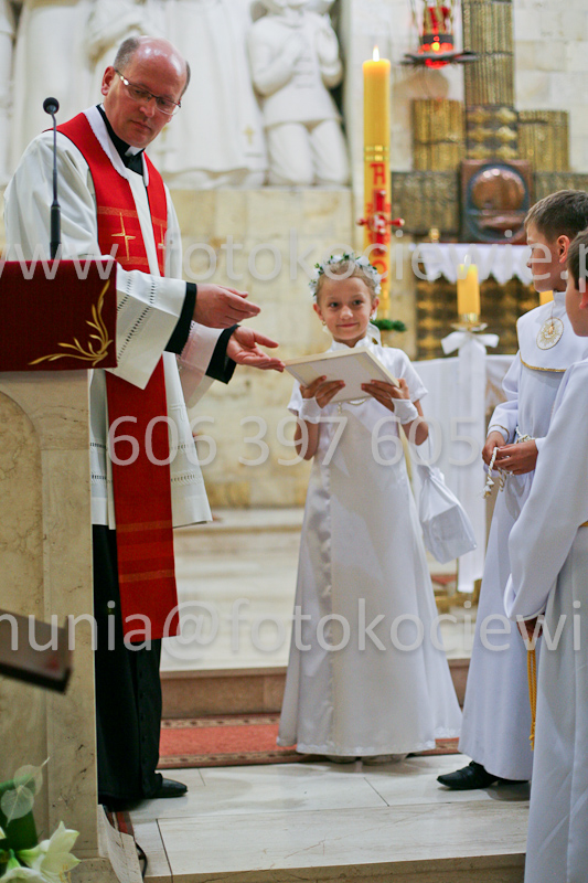 <b>NUMER FOTOGRAFII:<br> 1489_SFK_0121</b>