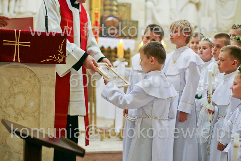 <b>NUMER FOTOGRAFII:<br> 1503_SFK_0137</b>