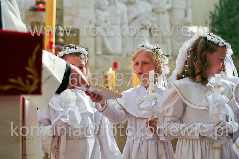 <b>NUMER FOTOGRAFII:<br> 1529_SFK_0174</b>