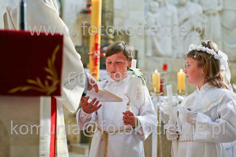 <b>NUMER FOTOGRAFII:<br> 1533_SFK_0182</b>