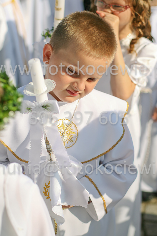 <b>NUMER FOTOGRAFII:<br> 0115_SFK_8993</b>