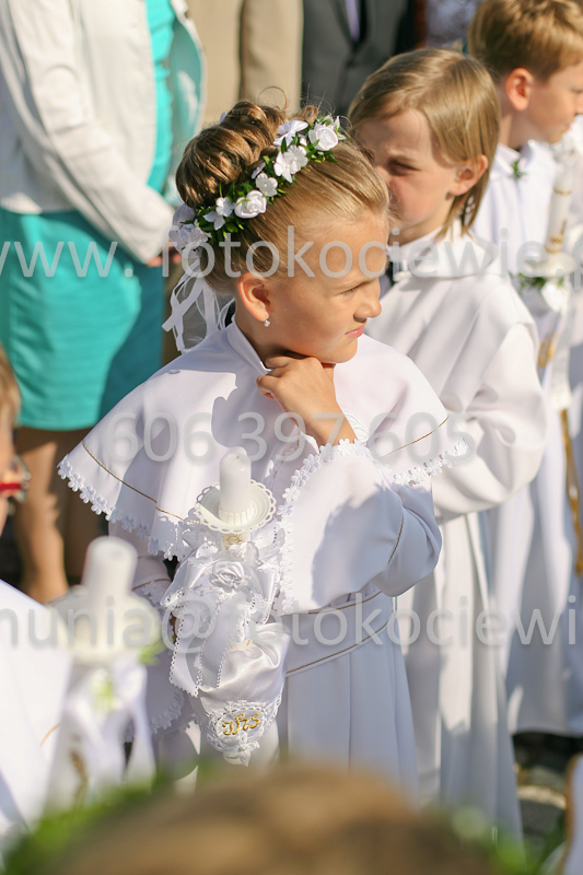 <b>NUMER FOTOGRAFII:<br> 0117_SFK_8995</b>