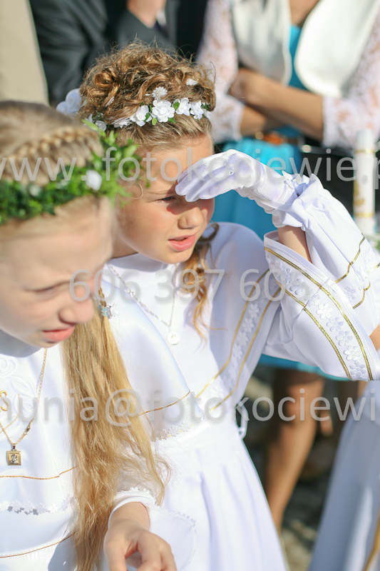 <b>NUMER FOTOGRAFII:<br> 0140_SFK_9009</b>