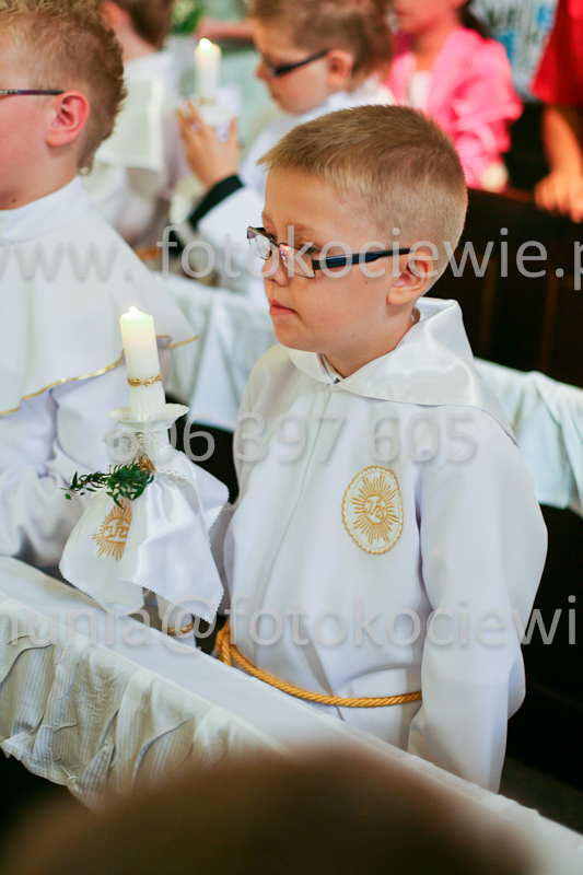 <b>NUMER FOTOGRAFII:<br> 0296_SFK_9096</b>