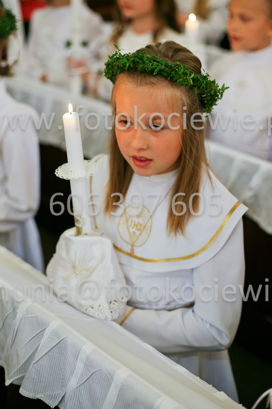 <b>NUMER FOTOGRAFII:<br> 0353_SFK_9150</b>
