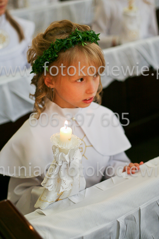 <b>NUMER FOTOGRAFII:<br> 0372_SFK_9169</b>