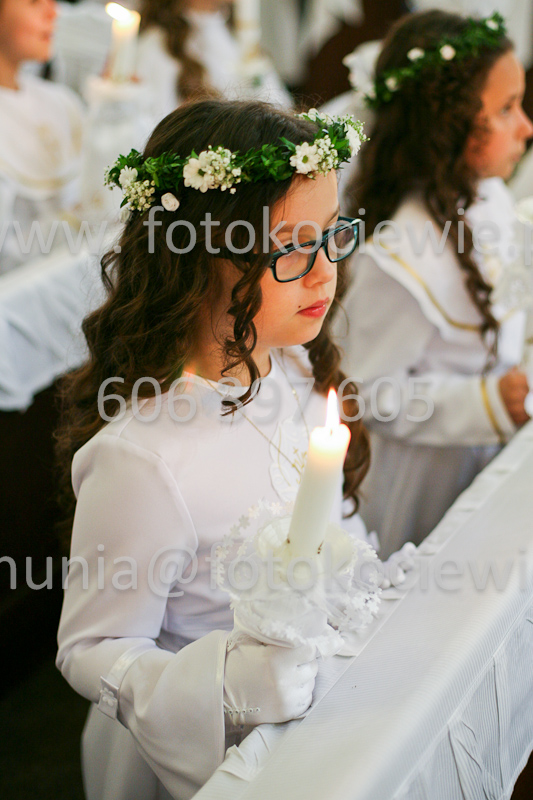 <b>NUMER FOTOGRAFII:<br> 0375_SFK_9172</b>