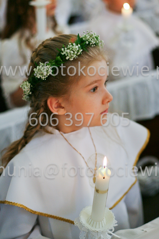 <b>NUMER FOTOGRAFII:<br> 0383_SFK_9178</b>