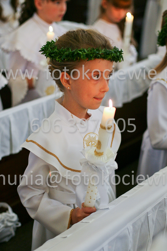 <b>NUMER FOTOGRAFII:<br> 0388_SFK_9181</b>