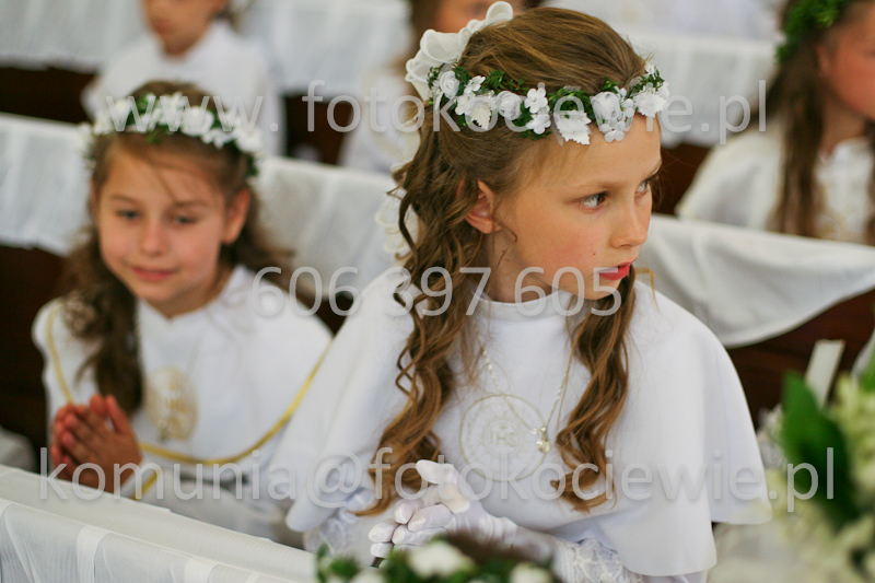 <b>NUMER FOTOGRAFII:<br> 0442_SFK_9215</b>