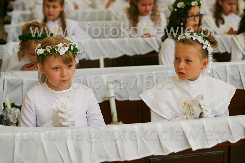 <b>NUMER FOTOGRAFII:<br> 0446_SFK_9219</b>