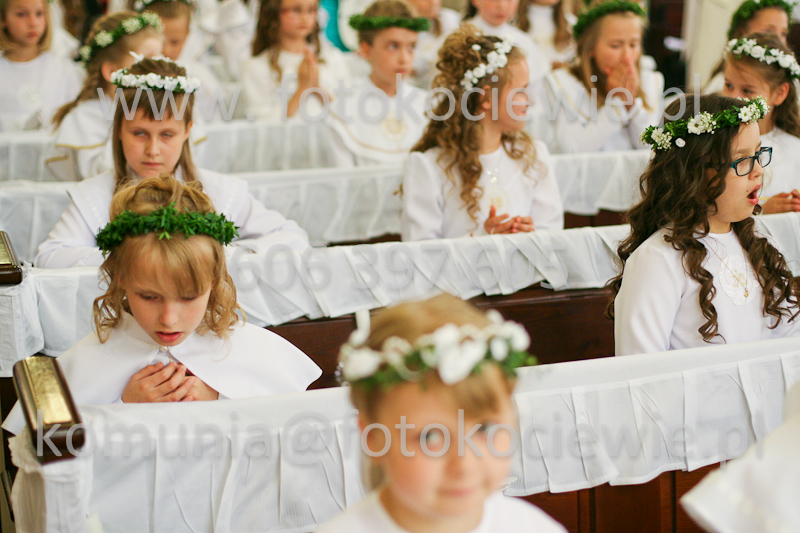 <b>NUMER FOTOGRAFII:<br> 0447_SFK_9220</b>