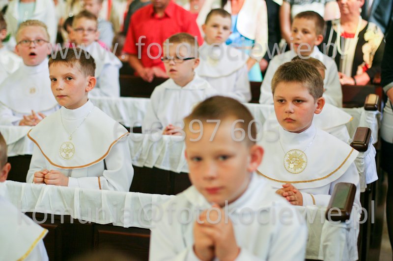 <b>NUMER FOTOGRAFII:<br> 0461_SFK_9234</b>