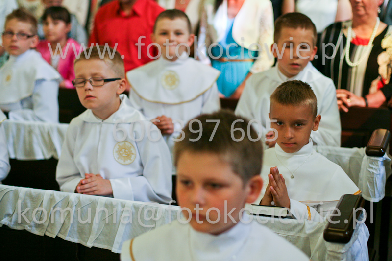 <b>NUMER FOTOGRAFII:<br> 0462_SFK_9235</b>