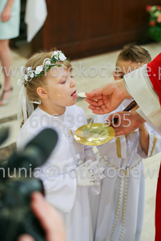 <b>NUMER FOTOGRAFII:<br> 0466_SFK_9240</b>