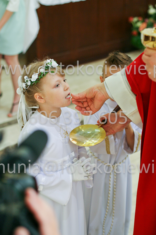 <b>NUMER FOTOGRAFII:<br> 0467_SFK_9241</b>
