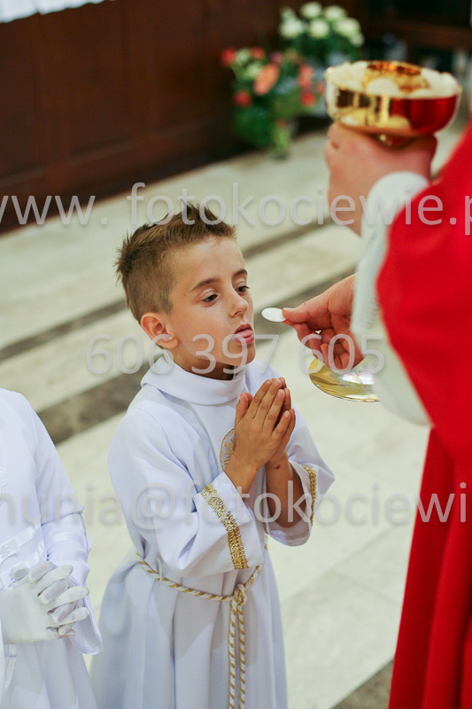 <b>NUMER FOTOGRAFII:<br> 0468_SFK_9242</b>
