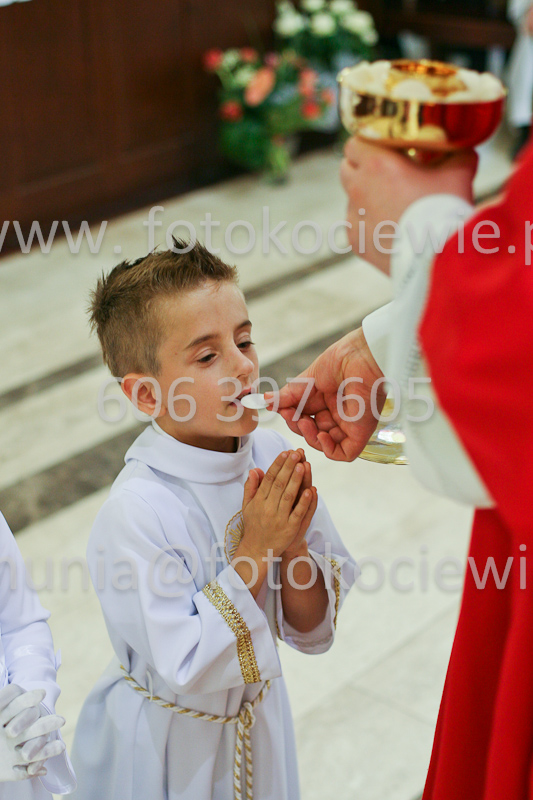<b>NUMER FOTOGRAFII:<br> 0469_SFK_9243</b>