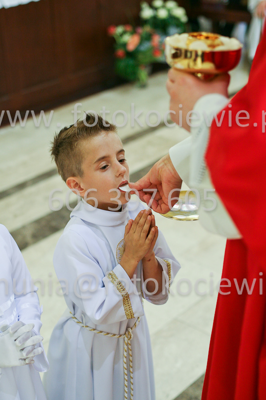 <b>NUMER FOTOGRAFII:<br> 0470_SFK_9244</b>