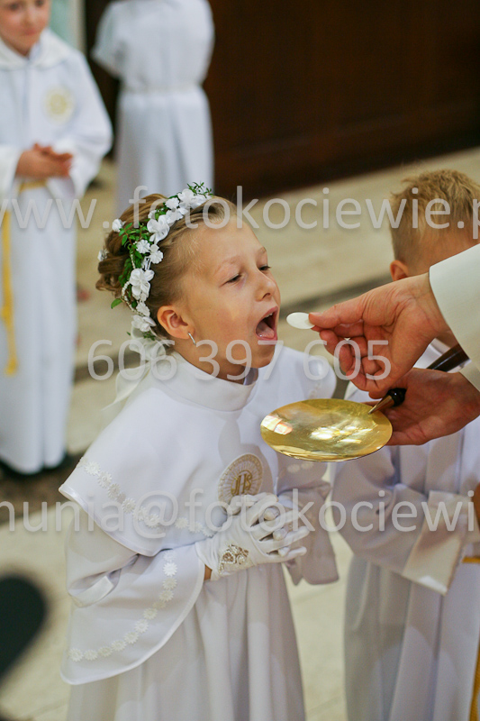 <b>NUMER FOTOGRAFII:<br> 0471_SFK_9245</b>