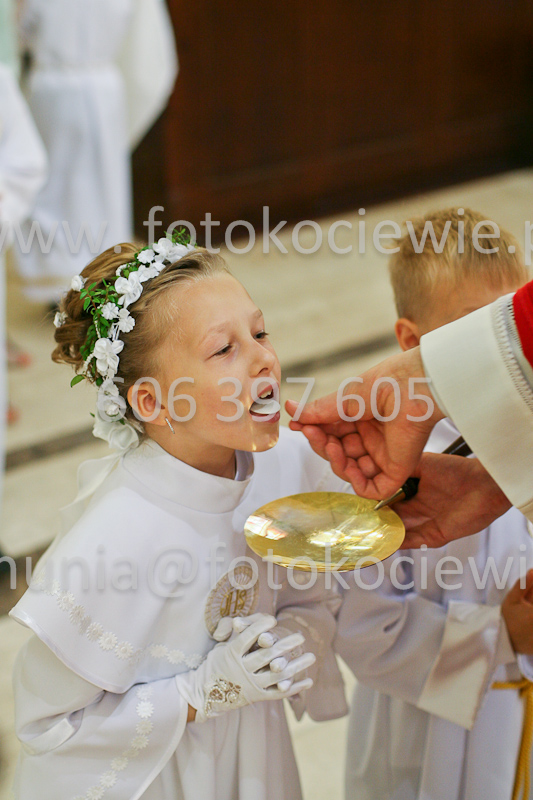 <b>NUMER FOTOGRAFII:<br> 0472_SFK_9246</b>