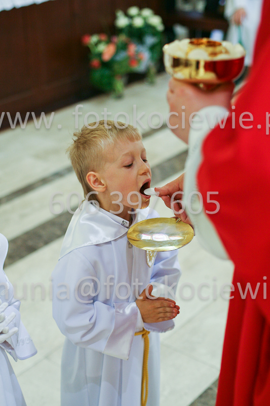 <b>NUMER FOTOGRAFII:<br> 0473_SFK_9247</b>