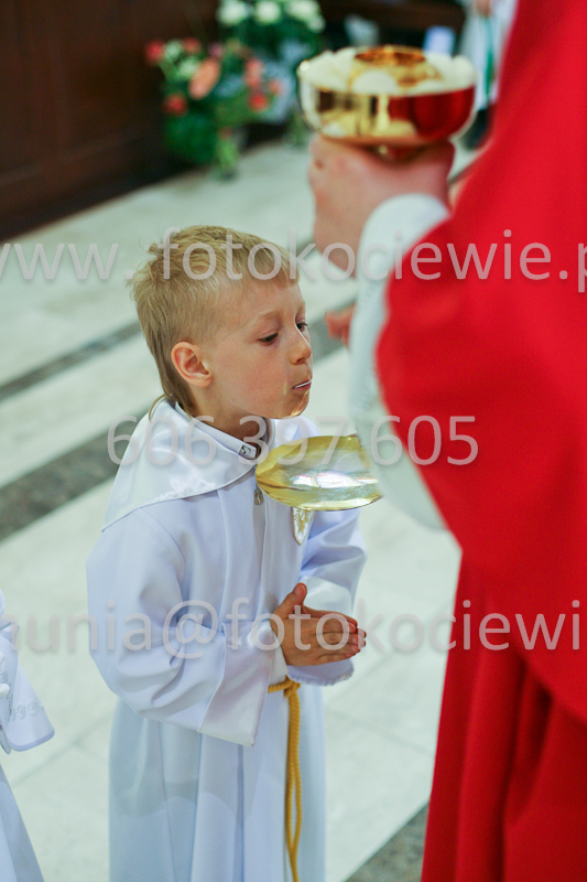 <b>NUMER FOTOGRAFII:<br> 0474_SFK_9248</b>