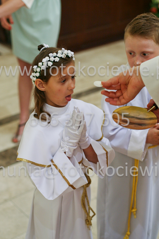 <b>NUMER FOTOGRAFII:<br> 0475_SFK_9249</b>