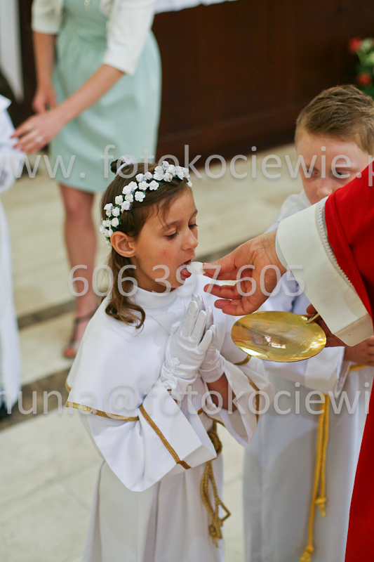 <b>NUMER FOTOGRAFII:<br> 0476_SFK_9250</b>