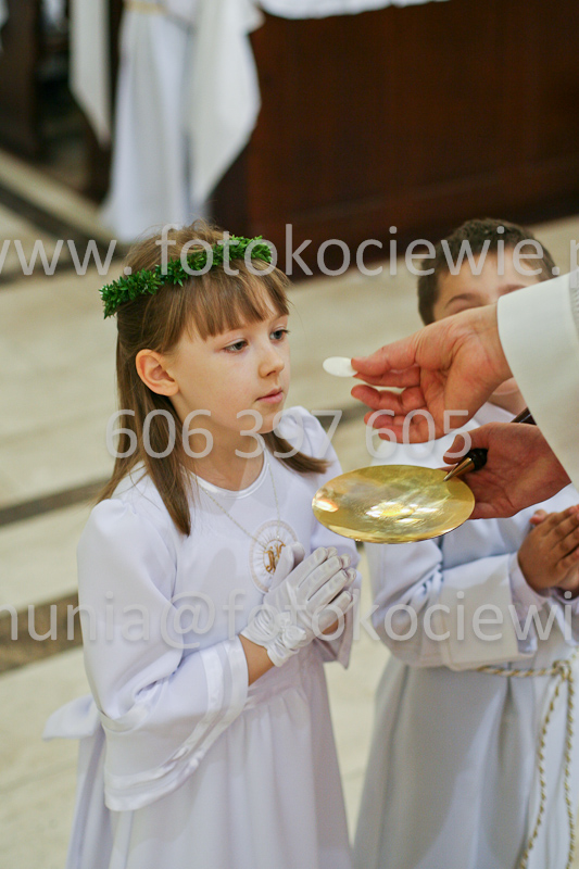 <b>NUMER FOTOGRAFII:<br> 0479_SFK_9253</b>
