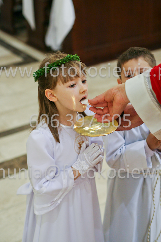 <b>NUMER FOTOGRAFII:<br> 0480_SFK_9254</b>