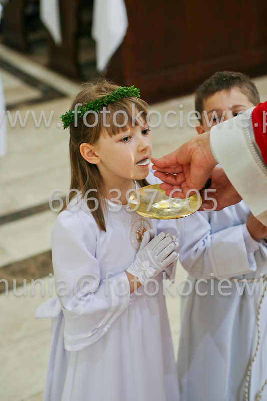 <b>NUMER FOTOGRAFII:<br> 0481_SFK_9255</b>