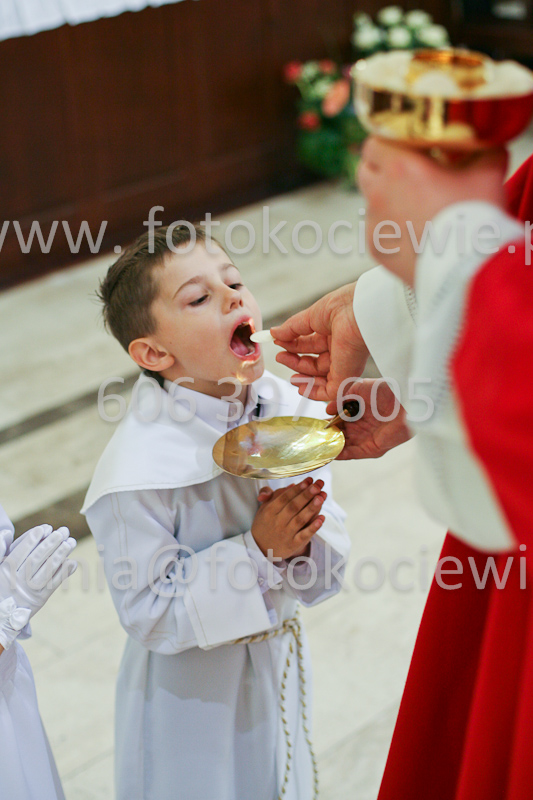 <b>NUMER FOTOGRAFII:<br> 0482_SFK_9256</b>