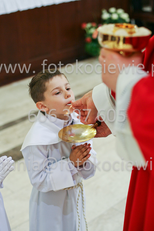 <b>NUMER FOTOGRAFII:<br> 0483_SFK_9257</b>