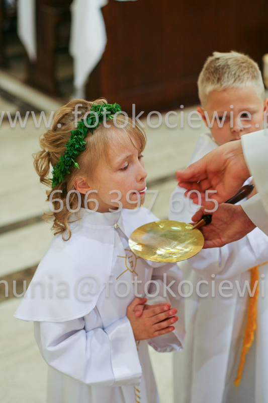 <b>NUMER FOTOGRAFII:<br> 0485_SFK_9259</b>