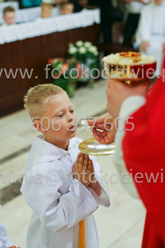 <b>NUMER FOTOGRAFII:<br> 0486_SFK_9260</b>