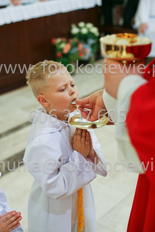 <b>NUMER FOTOGRAFII:<br> 0487_SFK_9261</b>
