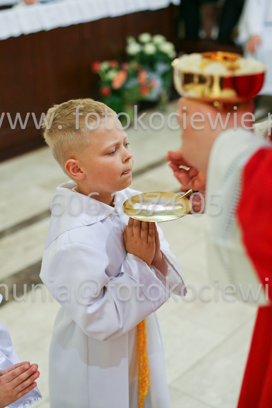 <b>NUMER FOTOGRAFII:<br> 0488_SFK_9262</b>
