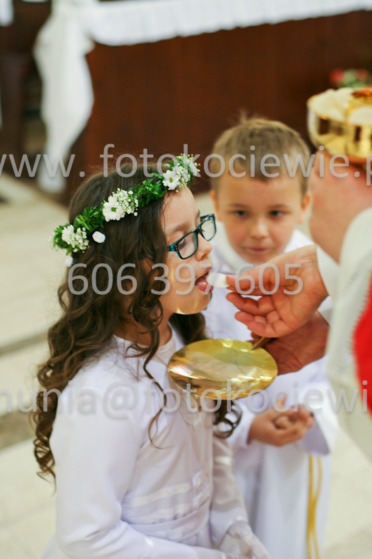 <b>NUMER FOTOGRAFII:<br> 0489_SFK_9263</b>
