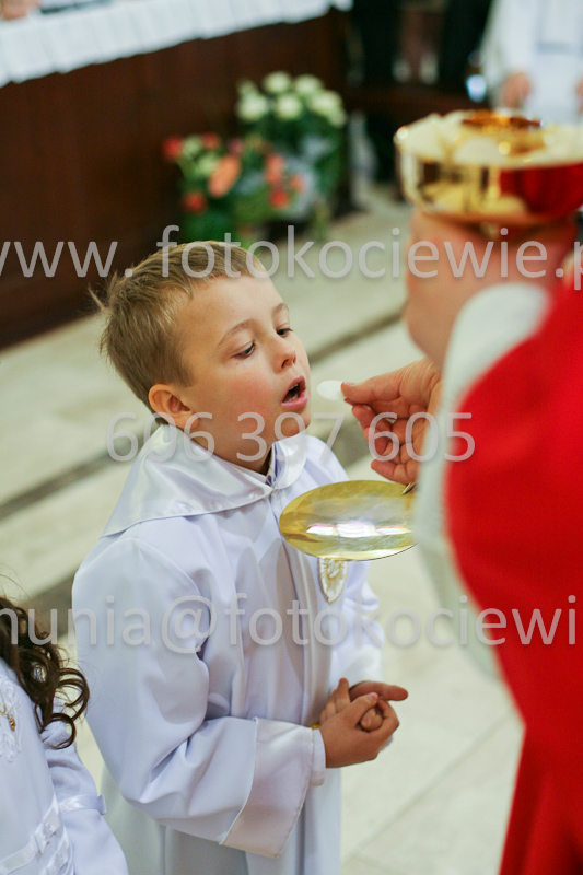 <b>NUMER FOTOGRAFII:<br> 0491_SFK_9265</b>